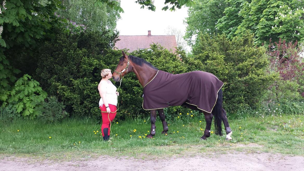 Holstener Come On billede 2