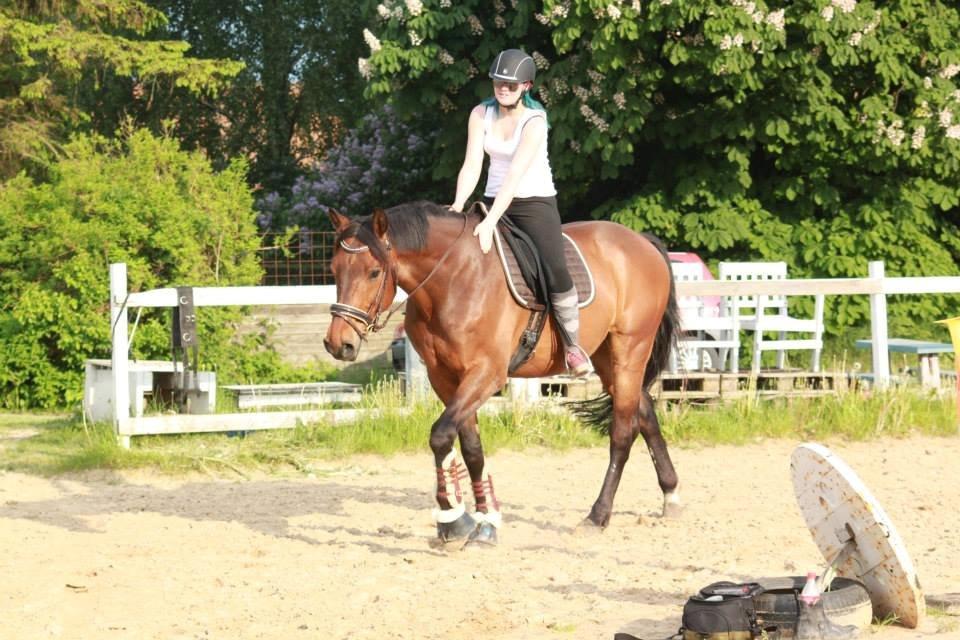 Holstener Come On billede 7