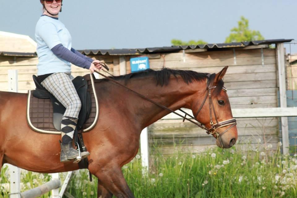 Holstener Come On billede 15