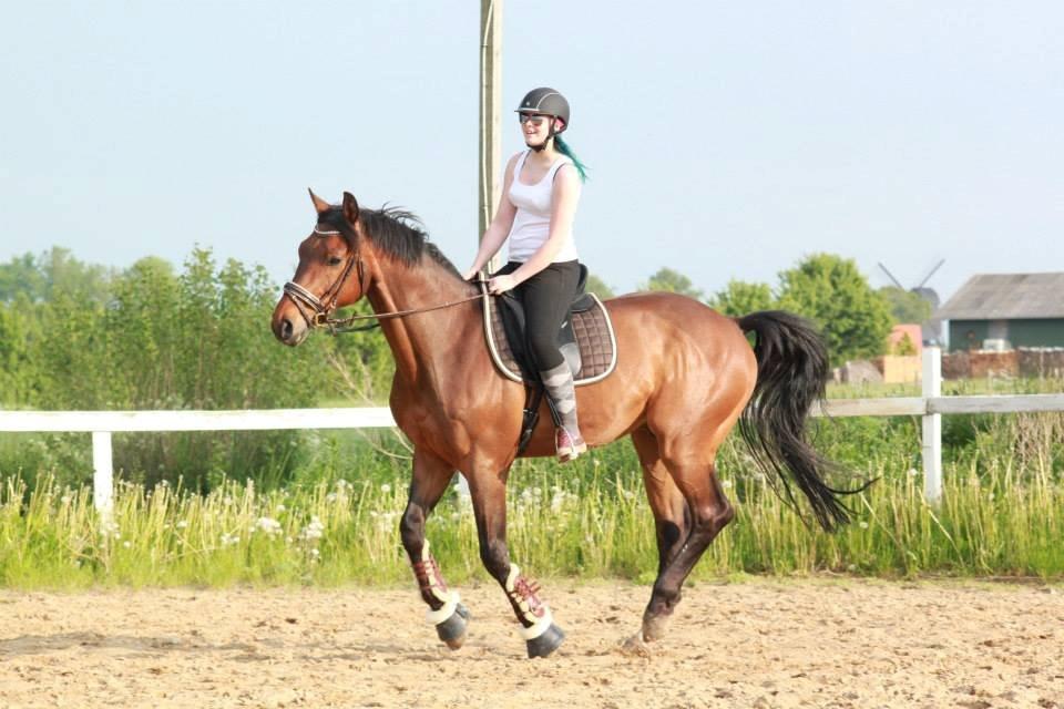 Holstener Come On billede 19