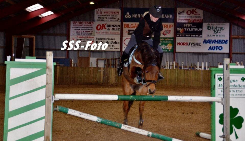 New Forest Max - ♥ billede 17