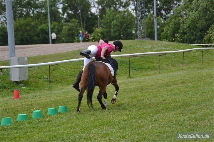 New Forest Max - Det handler ikke om at finde en man kan leve med, men en man ikke kan leve uden ♥ billede 18