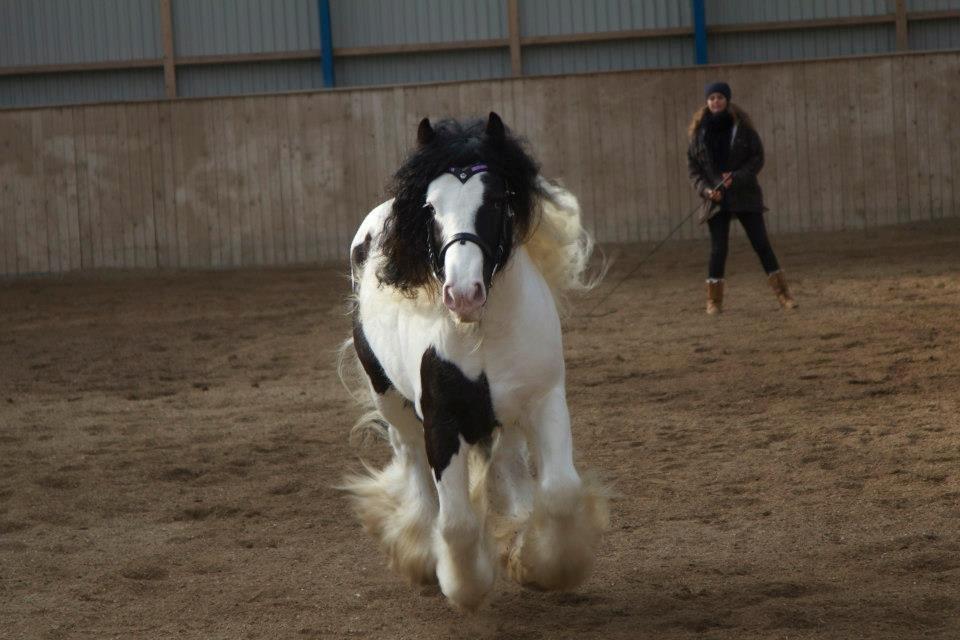 Tinker Dolomit billede 6