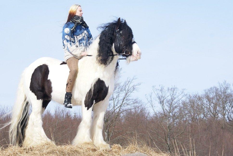 Tinker Dolomit billede 1