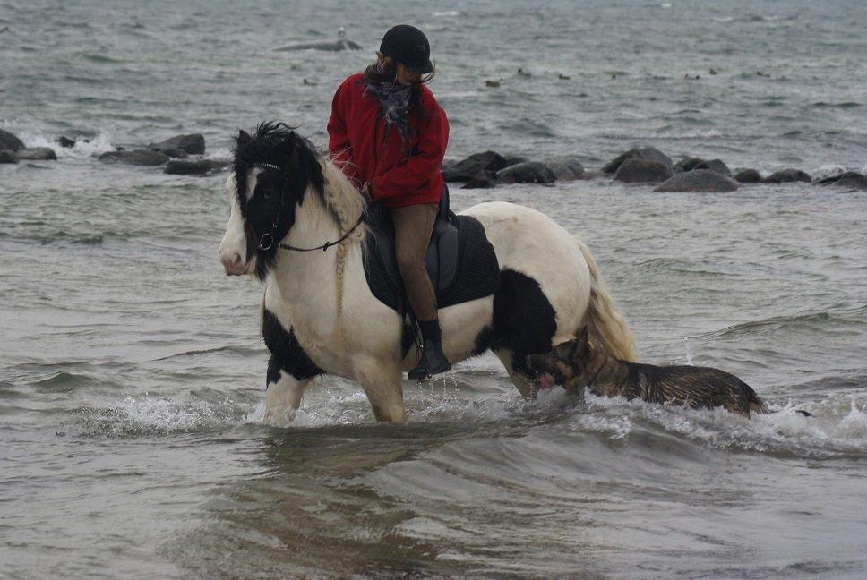 Tinker Dolomit billede 7