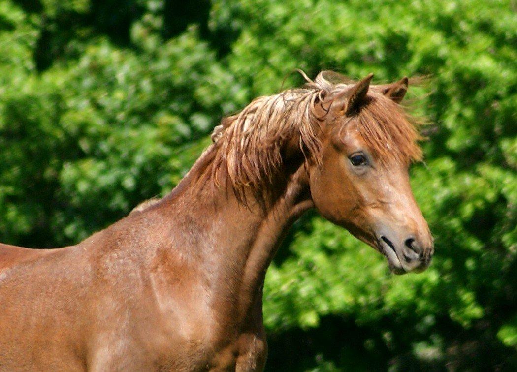 DSP Enzo M billede 19