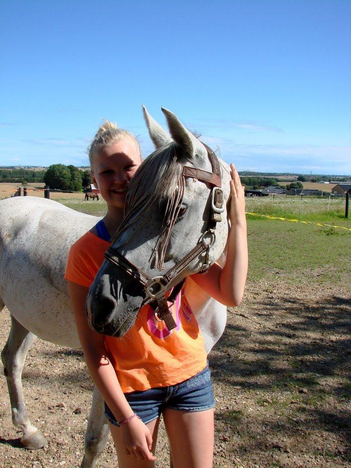 Anden særlig race Miss Dixie billede 9