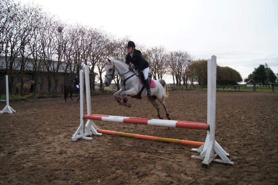 Anden særlig race Miss Dixie billede 11