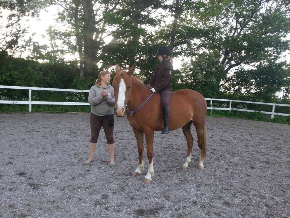 DSP Aichah billede 1