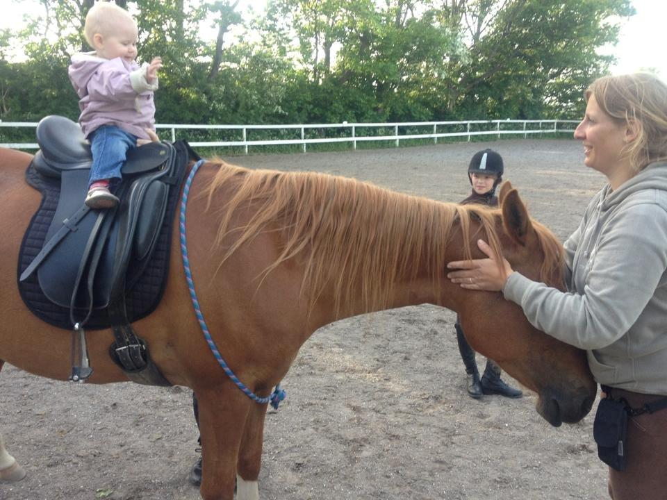 DSP Aichah billede 2