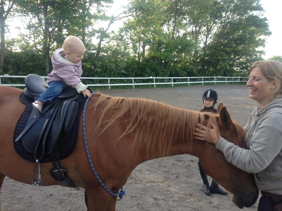 DSP Aichah billede 3