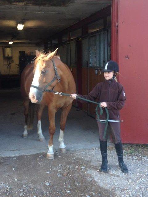 DSP Aichah billede 4