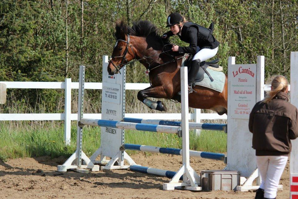 Anden særlig race Hercules billede 2