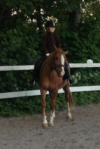 DSP Aichah billede 6