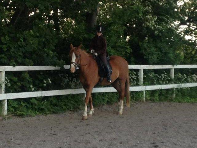 DSP Aichah billede 7