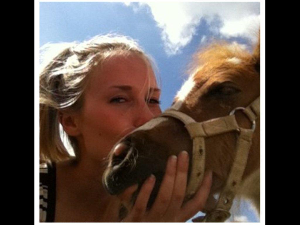 Anden særlig race Rosa -tidligere hest billede 1