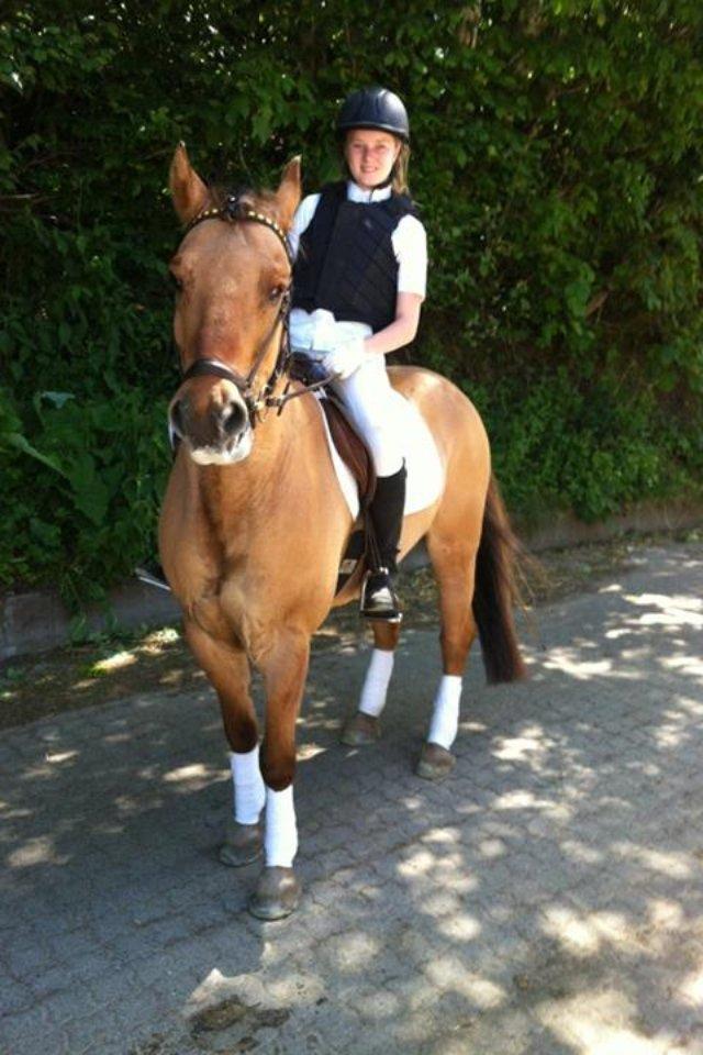 Anden særlig race Dumbledore  - „Kæmp for en, der også vil kæmpe for dig“ billede 16