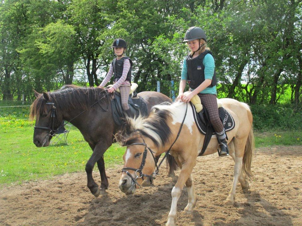 Hollandsk Sportspony Capello Ivo !<3 - „Jalousi kan kun opstå, når der er kærlighed til stede.“ billede 26