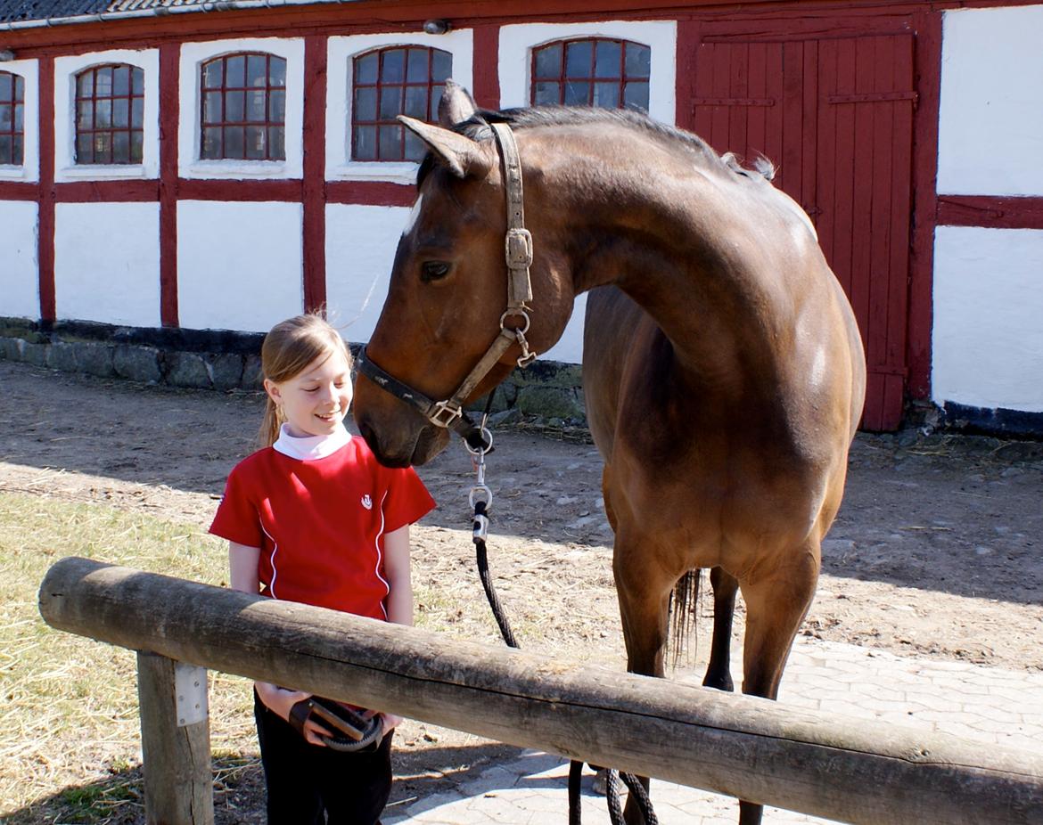Dansk Varmblod Hjælmsbjergs Chakira - Chakira hygger med min søster :) billede 11