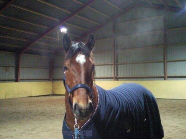 Anden særlig race Samson billede 1