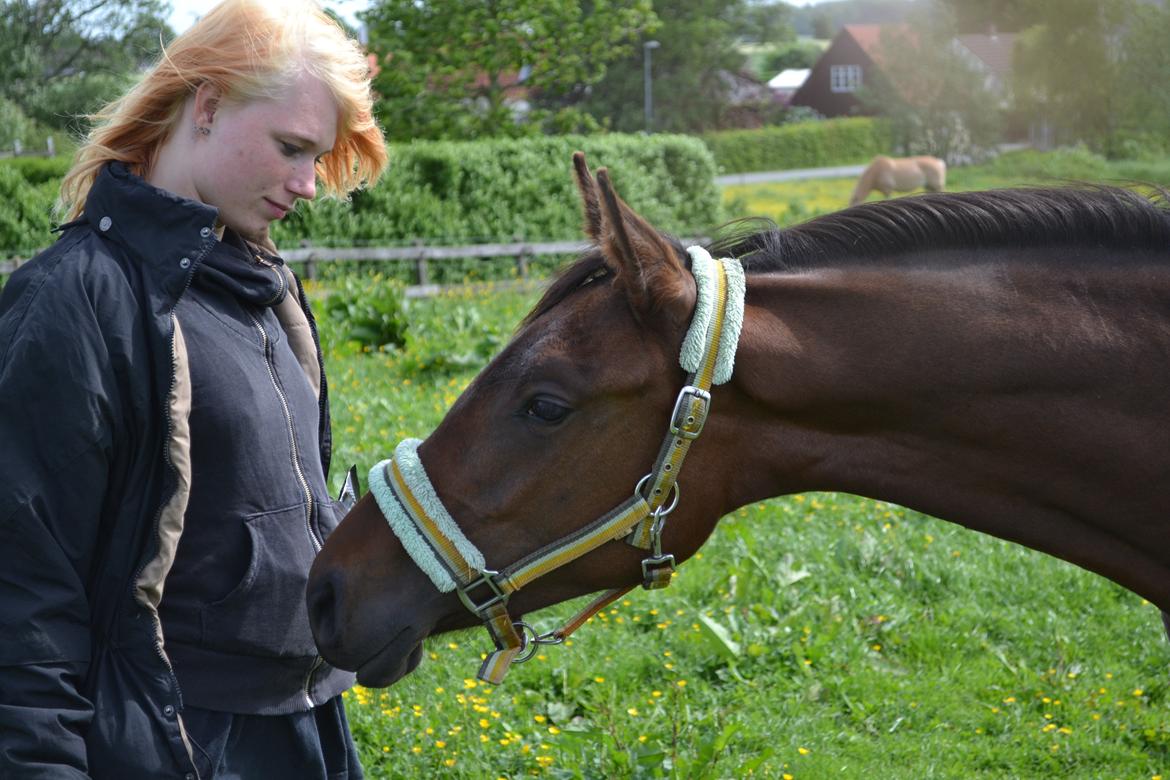 Anden særlig race Monique billede 14