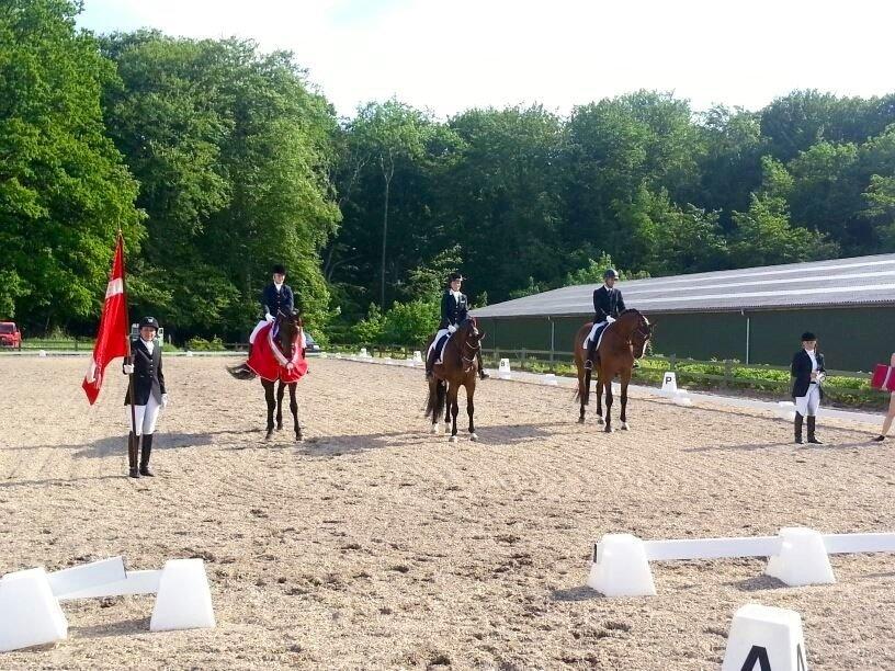 Dansk Varmblod Drisdals Jonaki billede 6