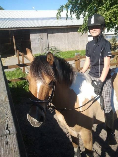 Hollandsk Sportspony Capello ivo - •Kærligheden rammer dig måske kun én gang, men den kan vare en livstid  billede 3