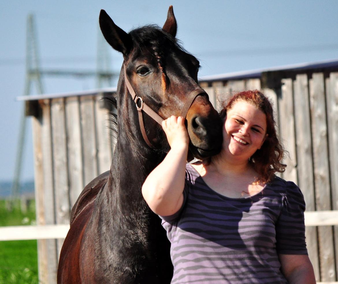 Koldblodstraver Bergtilda <3 *Tilde* | min prinsesse. - 17). Jeg elsker min Tulde Marulde! :D. | Fotograf: Natacha Vinberg m. mit kamera. billede 17