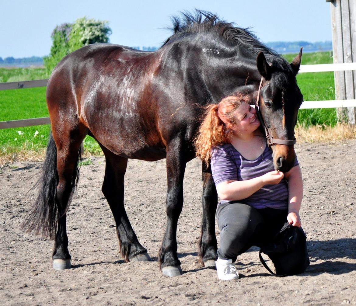 Koldblodstraver Bergtilda <3 *Tilde* | min prinsesse. - 5). Åhhh tulle da :-*<3. | Fotograf: Natacha Vinberg m. mit kamera. billede 5