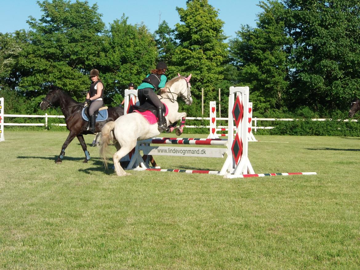 Pinto Marcia<3(Divaen<3) - Dygtig hest!<3<3 billede 17