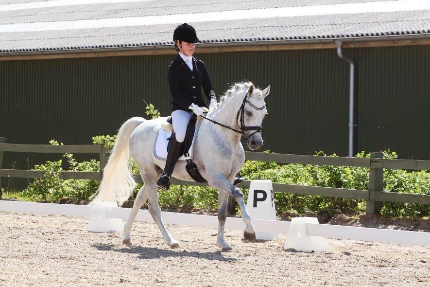 DSP Toftegaard's Hurricane SPH 182 <3 *A-Pony* - Hurris livs første PRM til 68,6% og en første plads! <3 billede 5