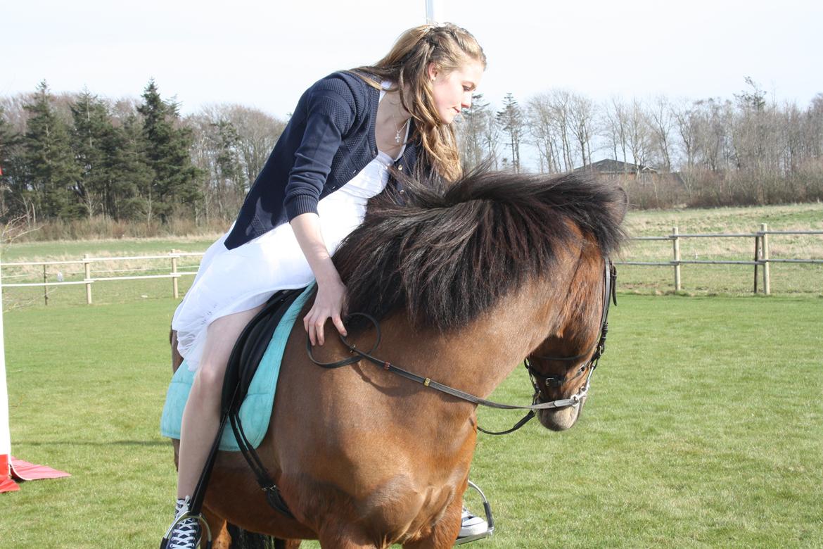 Anden særlig race Björk  - 26-04-13 Dejlig dag!<3 billede 7