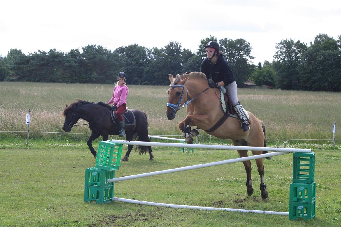 Anden særlig race Nuggi - Ridelejr 2012
Spring undervisning billede 13
