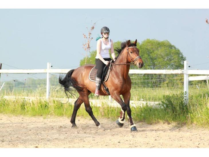 {{currentPhoto.altText}} billede {{currentPhoto.number}}