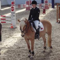 Haflinger CIRKELINE <3<3