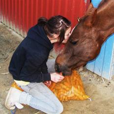 DSP Firhøjs Nobi - min engel