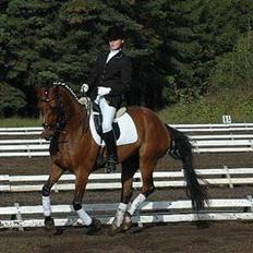 Hannoveraner Destiny. Lånt ud