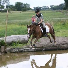 New Forest Odbjergs Elaine - SOLGT