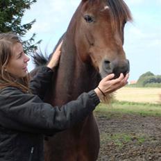 Traver Ulrik Langkjær RIP