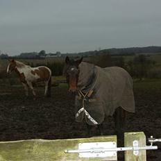 Traver Ulrik Langkjær RIP