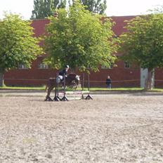 Anden særlig race Miss Trixie Bell