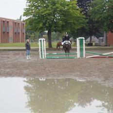 Anden særlig race Miss Trixie Bell