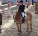 Haflinger CIRKELINE <3<3