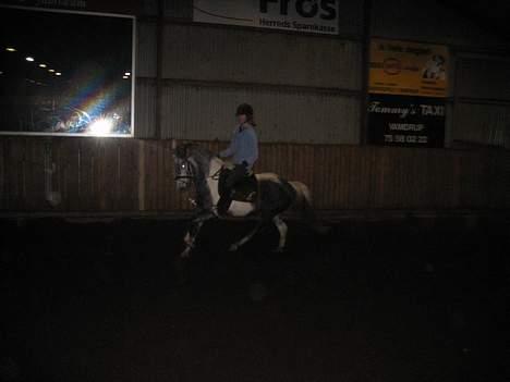 Pinto tanna - har kommer vi i fuld galop.. hun er kendt for at være rideskolens krut-ugle.. selvom hun ikk er rideskole-hest..   :) billede 10