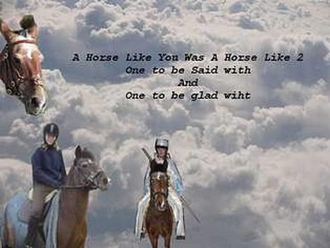 Anden særlig race Zita (død) - Til minde om min lille baby... <3<3<3<3<3<3<3<3<3 billede 11