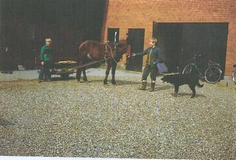 Anden særlig race Zita (død) - Zita hos tidligere ejer.. billede 12