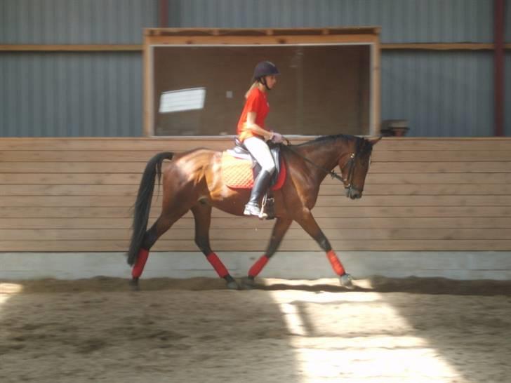 Traver Kasino, I Hestehimlen :'( - Trav.. billede 5