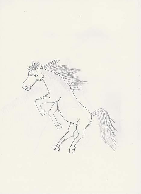 Anden særlig race Da Vinci - Mig med blyant :D billede 4