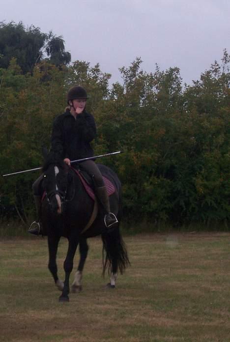 New Forest Elmholts Winter Daisy - min pony 4-ever billede 10