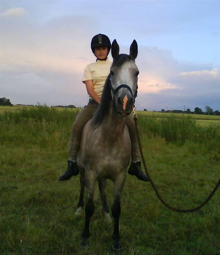 Arabisk fuldblod (OX) Lalaika - Dengang det hed dig og mig! <3 :´) sommeren 2008 billede 1